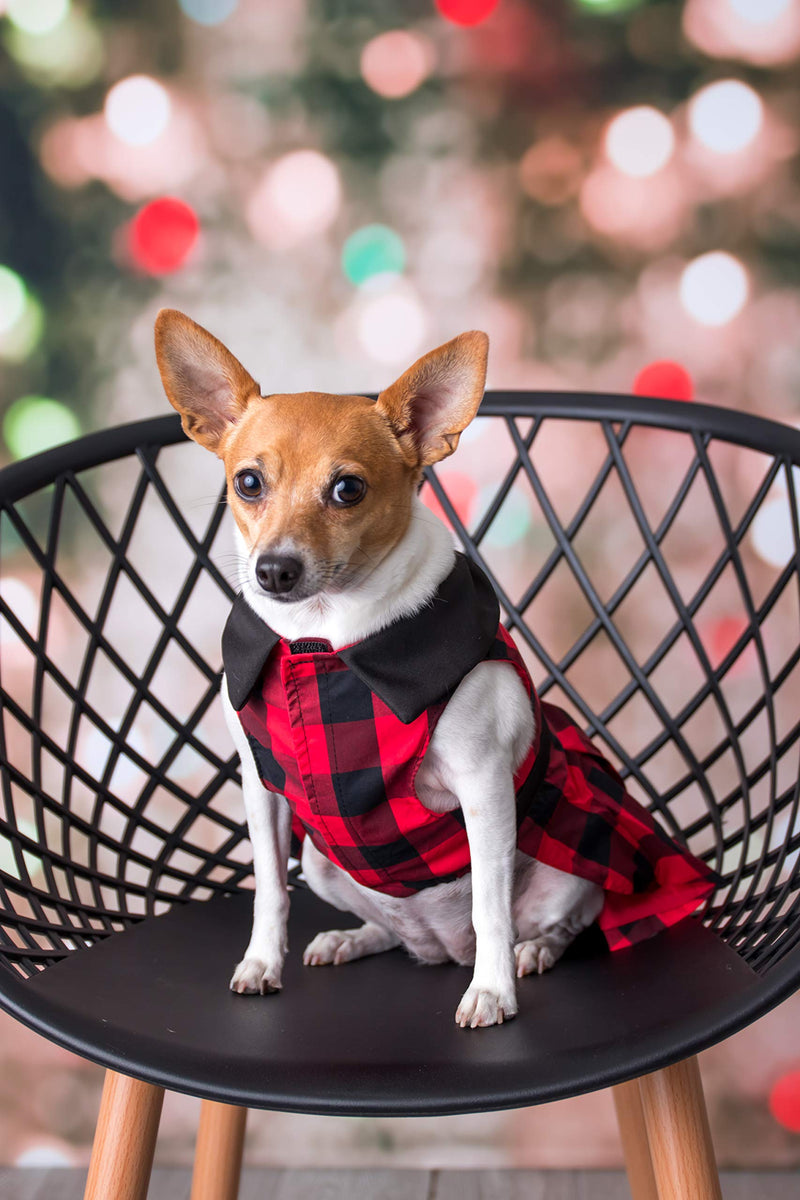 Parisian Pet Designer Buffalo Checkered Red Dog Dress Holiday Party S Buffalo Checkered Dress - PawsPlanet Australia