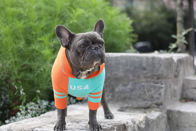 [Australia] - XIYOLAB Designer Original Fashion pet Dog Clothes French Bulldog Cold Knit Hoodie Suitable for Autumn and Winter (M) M 
