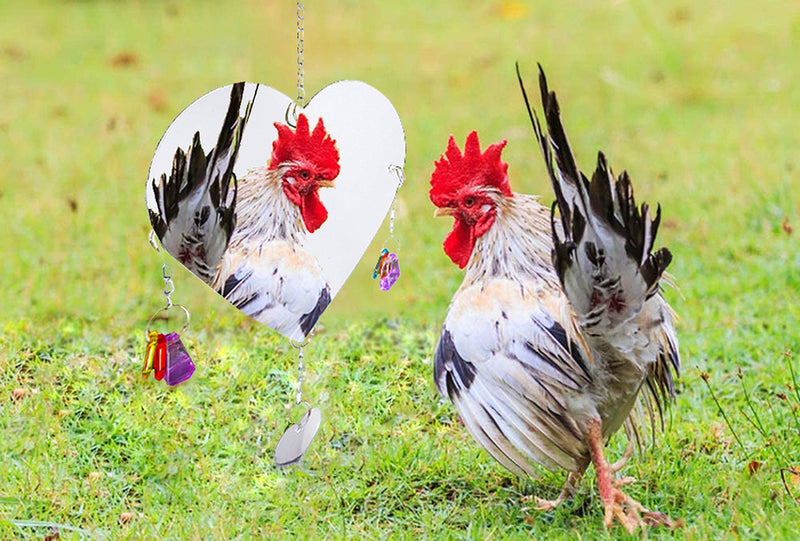 [Australia] - Genriq Chicken Toy,Chicken Mirror Toys and Chicken Xylophone Toy,Hanging Suspensible Bird Toy Chicken Coop Pecking for Chicks Hens Parrot Bird 