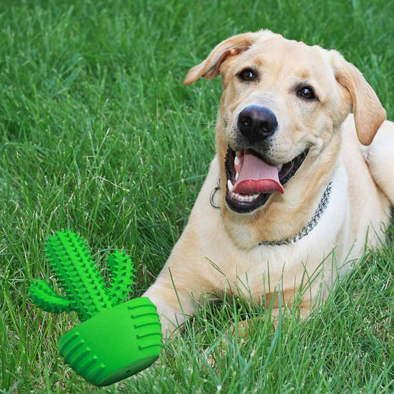 Dog Toothbrush Stick- Pets Dental Care Brushing Effective Nontoxic Natural Rubber Cactus Dog Chew Toys, Dog Dental Stick, Dog Tooth Cleaning Suitable for Medium and Large Dogs to Chew and Massage - PawsPlanet Australia