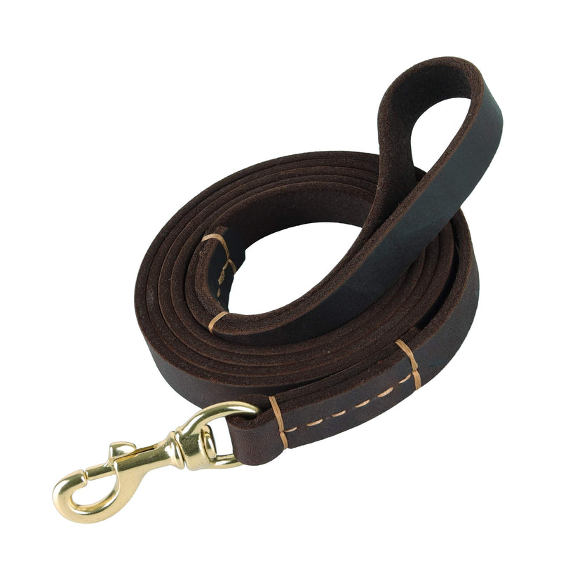 [Australia] - kgt Leather Dog Strong Leashes for Larger Dog Training Leather Walking Leash Heavy Duty Leather Dog Leash L6 Ft-W4/5 in 