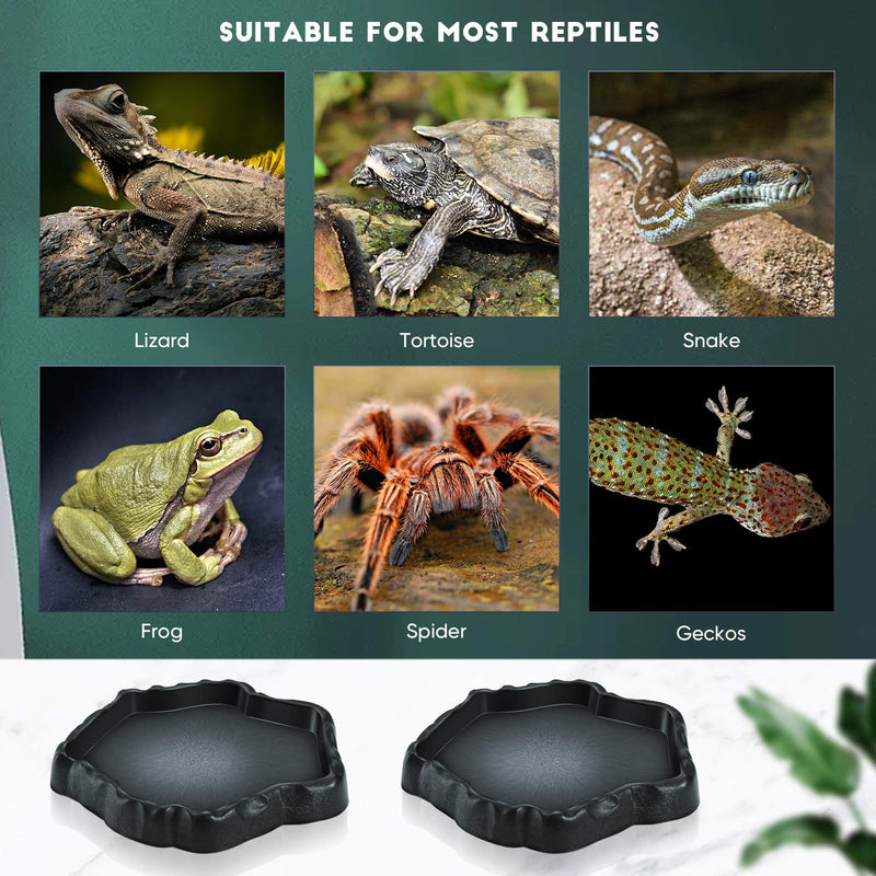 4 Pieces Reptile Water Dish Food Bowl Set Includes 2 Food Feeder Bowl Resin Reptile Bowl Water Bowl 2 Feeding Tweezer Tong Reptile Rock Feeder for Pet Tortoise Lizard Frog Gecko Snake Chameleon - PawsPlanet Australia