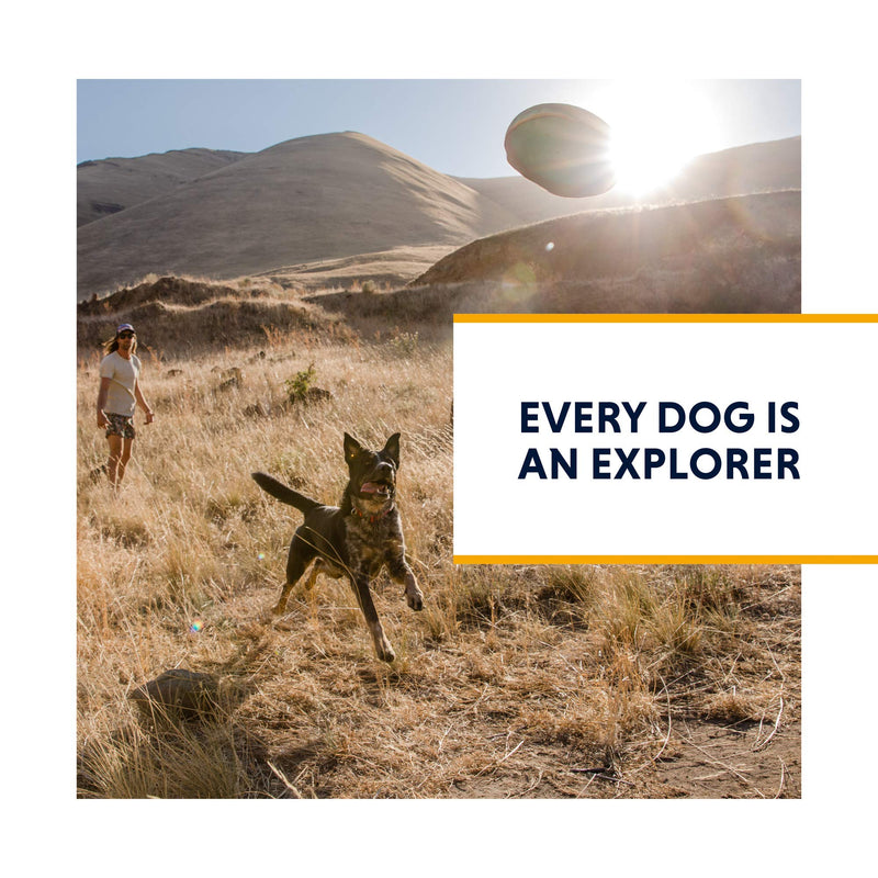 Ruffwear, Flat Out Leash, Oceanic Distortion Ocean Distortion - PawsPlanet Australia