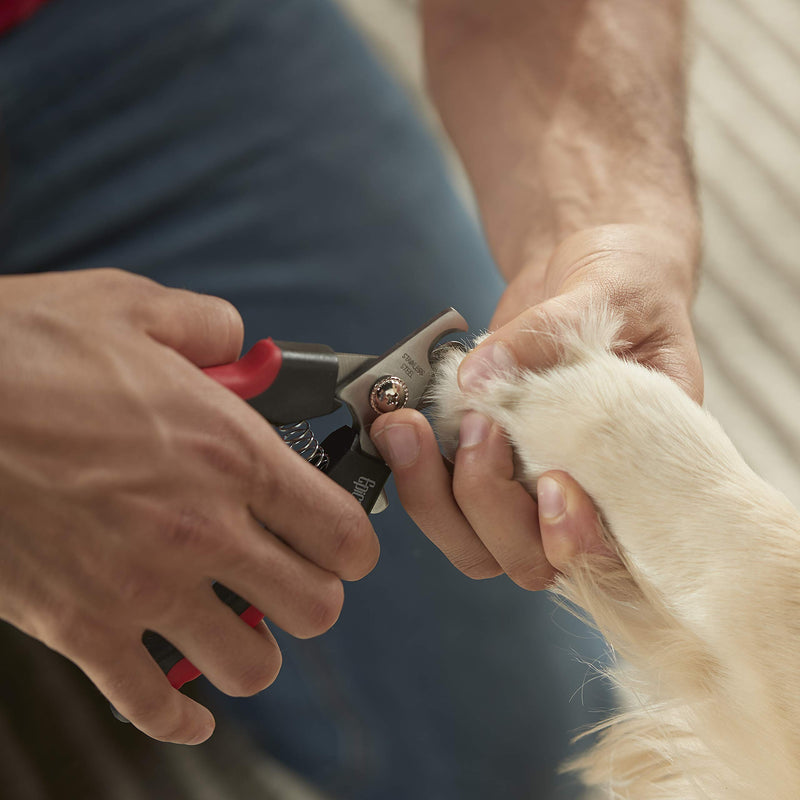 [Australia] - Franklin Pet Supply – Dog & Cat Nail Clippers with Safety Guard – Grooming – Stainless Steel – Professional Grade 