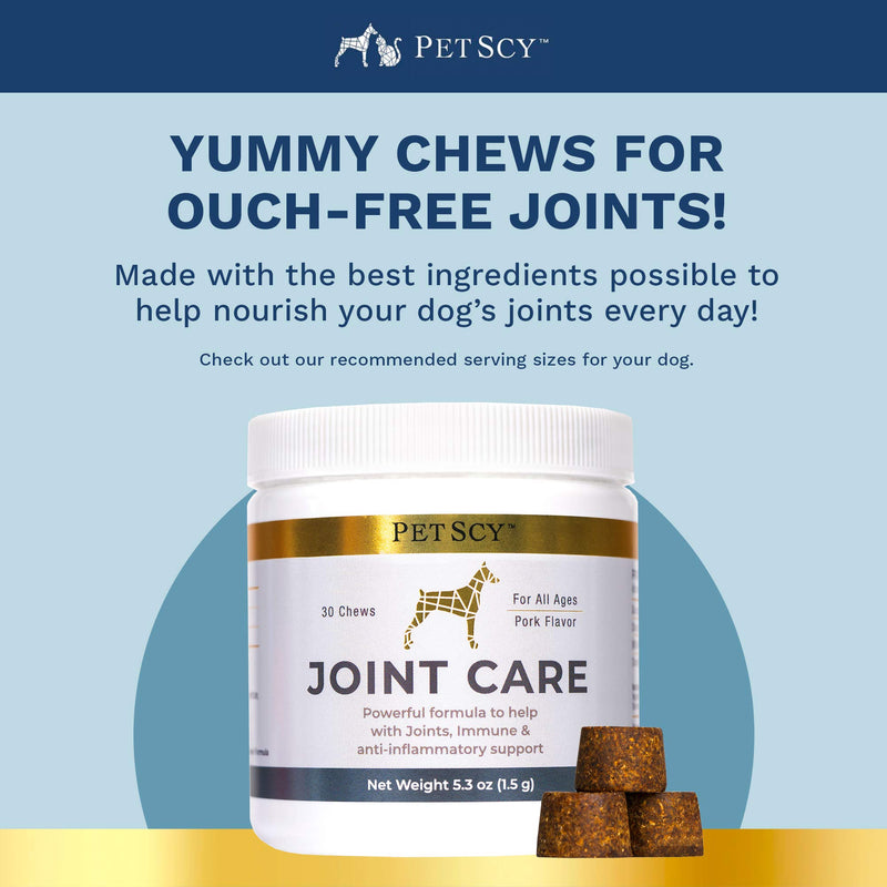 Petscy: Joint Care Chews - Glucosamine, Chondroitin, MSM, and Creatine Nutritional Supplement for Dogs - 30 Chews - Pork Flavor - Joint Pain Relief Support for All Ages and Breeds - Made in The USA - PawsPlanet Australia