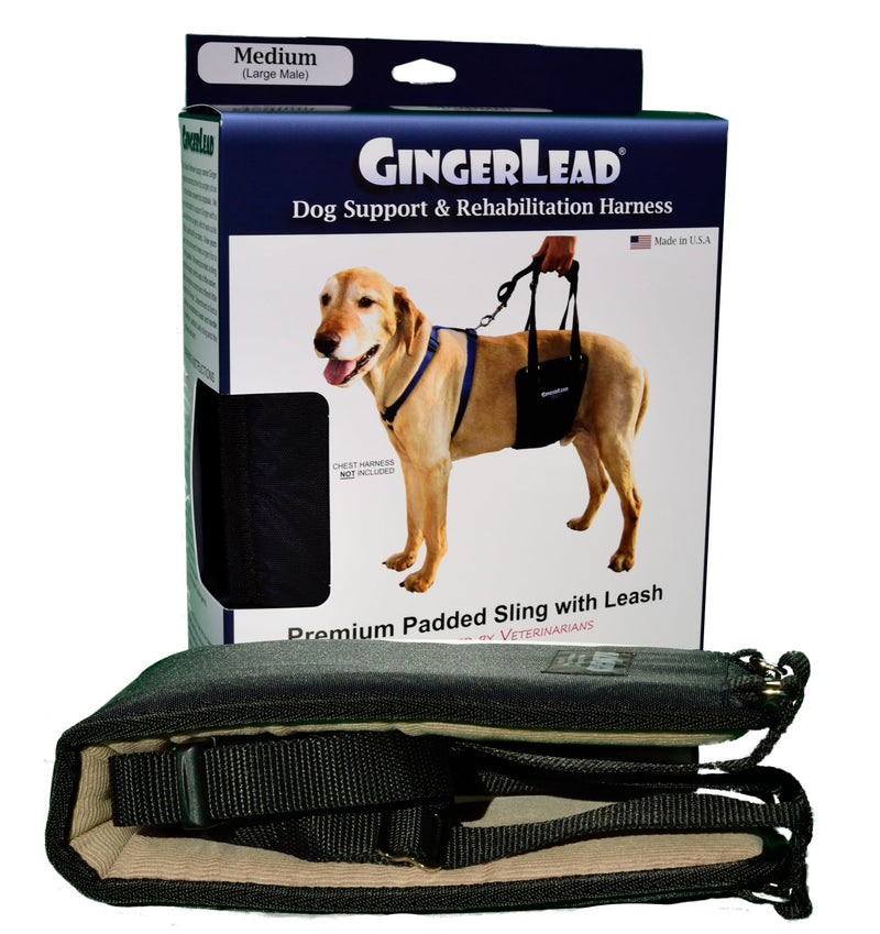 [Australia] - GingerLead Dog Support & Rehabilitation Harnesses - Padded Sling with Leash for Comfort and Control Medium-Large Unisex 