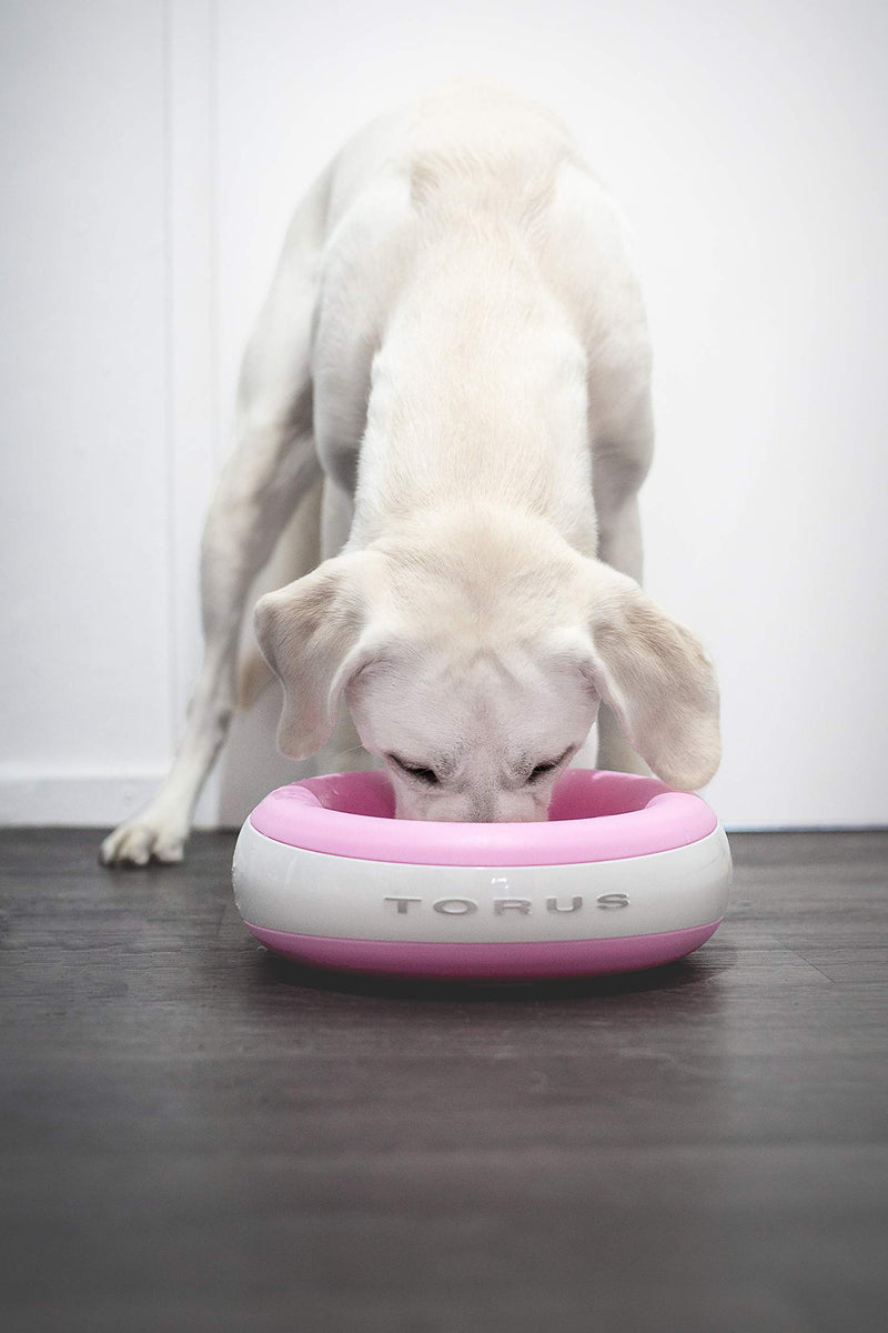 Torus 2-Liter Water Bowl, Pink - PawsPlanet Australia