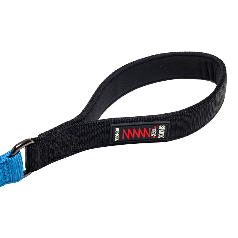 [Australia] - Franklin Pet Supply Nylon Dog Leash — 4-Foot Dog Leash with Shok-Tek Bungee — Helps Prevent Jumping and Pulling — Bright-Colored Nylon Dog Leash for Night Visibility Blue 