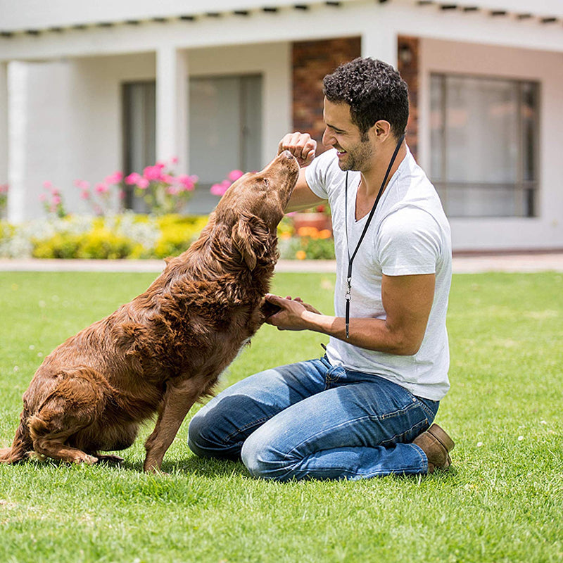 DXIA 3 Pack Dog Whistle, Adjustable Pitch Ultrasonic Dog Training Whistle for Stop Barking & Recall, with 3 Free Lanyard Strap Professional Dog Whistles for Teaching, Training, Black - PawsPlanet Australia