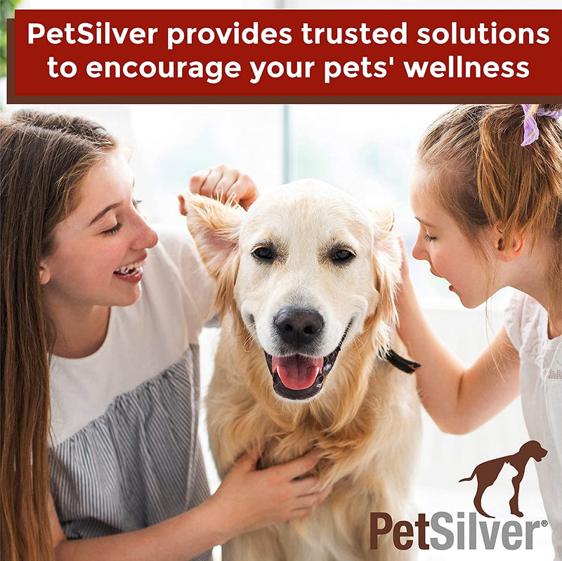 PetSilver Dog & Cat Ear Cleaner Solution | All Natural, Made with Chelated Silver | Non-Prescription Dog Ear Infection Treatment | Ear Mite & Yeast Treatment | Made in USA | 4 oz - PawsPlanet Australia