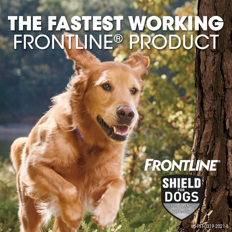 FRONTLINE Shield for Dogs Flea & Tick Treatment, 5-10 lbs, 3ct - PawsPlanet Australia