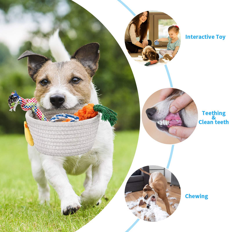 Dog Rope Toys, Dog Chew Toys, Dog Toys for Small Dogs and Medium Dogs, Puppy Toys for Teething, Tough Durable Dog Toys, Rope Dog Toy Storage Basket Organizer Included, Set of 6 - PawsPlanet Australia