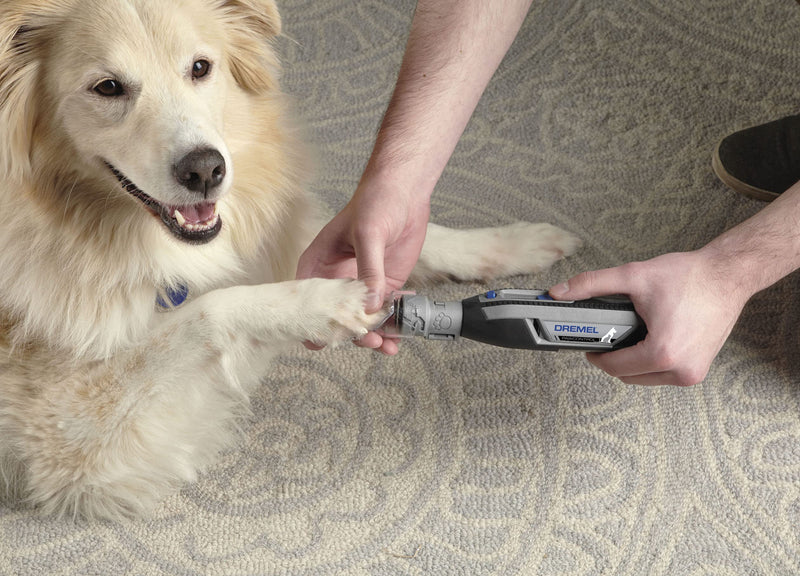 Dremel PawControl Dog Nail Grinder and Trimmer- Safe & Humane Pet Grooming Tool Kit- Cordless & Rechargeable Claw Grooming Kit for Dogs, Cats, and Small Animals 7760-PGK - PawsPlanet Australia