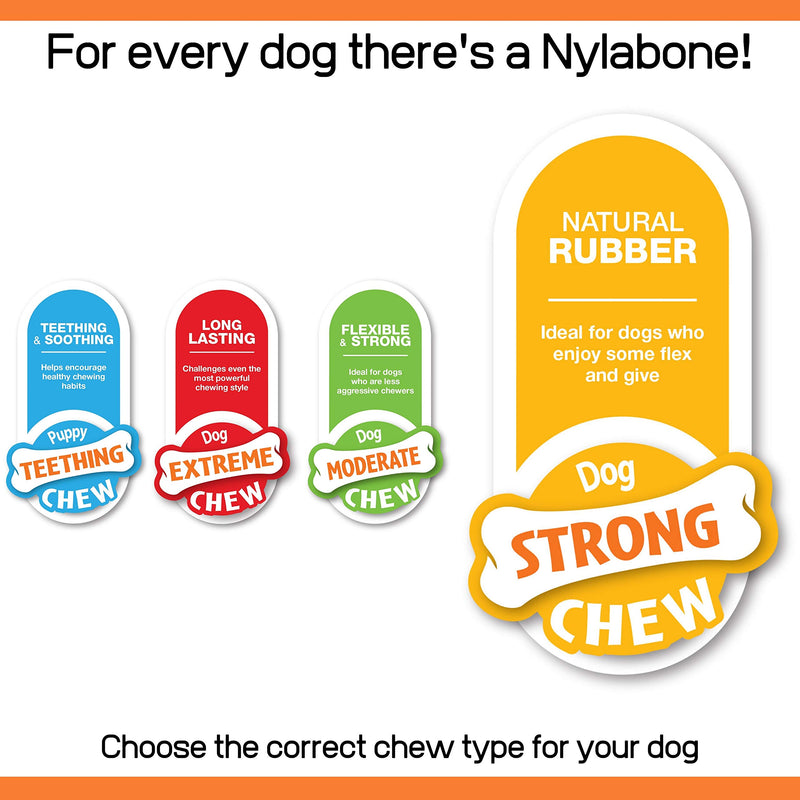 Nylabone Strong Tough Durable Rubber Dog Chew Toy Bone, Beef and Gravy Flavour, Medium, for dogs up to 16 kg - PawsPlanet Australia