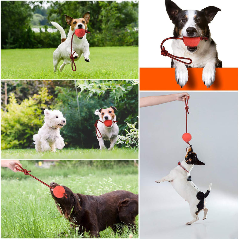 LSTK Pet Rubber Chew Toy Ball with Rope,Dog Interactive Ball with Rope for Pet Playing Training Exercising(3 Pcs) - PawsPlanet Australia