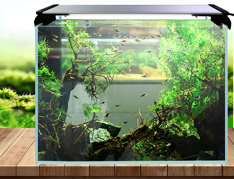RGB Aquarium Light, LED Fish Tank Light with Extendable Brackets, 24/7 Automated Planted Plus Aquarium Light with Remote Controller (15 inch) 15 inch - PawsPlanet Australia