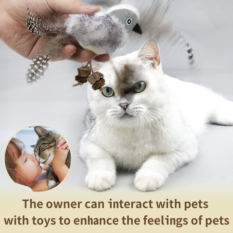 PAZ'S GIFT Cat Toys Catnip Toy cat chew Toy cat Kicking silvervine Stick Teeth Cleaning Cute Kitten Teething Indoor Interactive Catnip toy squeak bird - PawsPlanet Australia