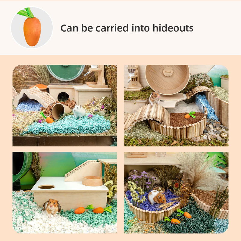 Niteangel Hamster Chew & Decor Toys - for Syrian Dwarf Hamsters Gerbils Mice Lemming Degu or Other Small-Sized Pets Carrot-Shape ( Pack of 6) - PawsPlanet Australia