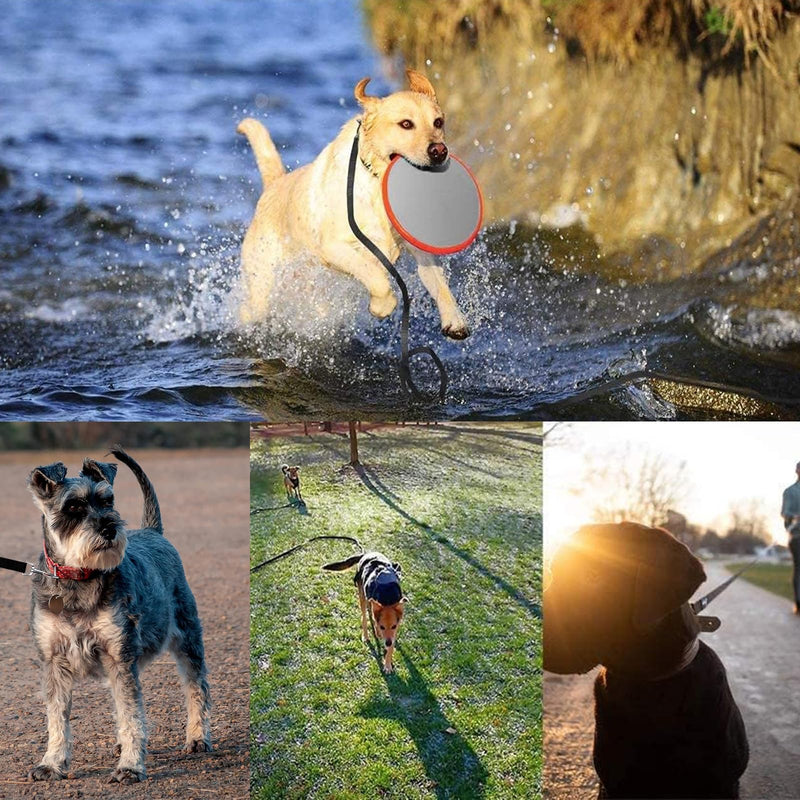 Tow line 5 m, tow line for large dogs, dog leash 5 m adjustable, dog tow lines with storage bag & handle, non-slip and robust training lead for small to large dogs - PawsPlanet Australia