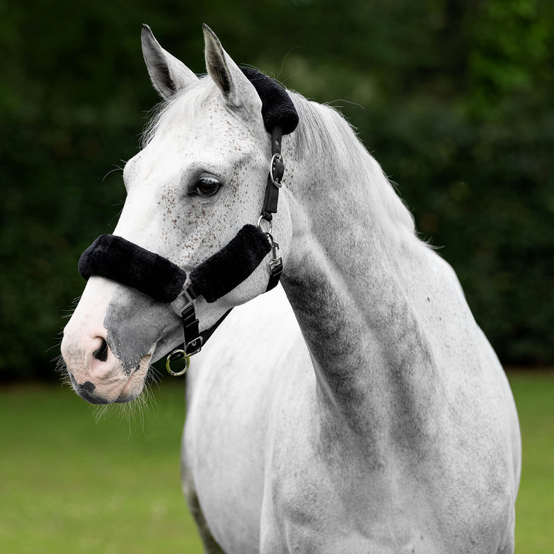 LeMieux Comfort Headcollar for Horses - Soft Fleece Lining - Adjustable & Durable Full Black - PawsPlanet Australia