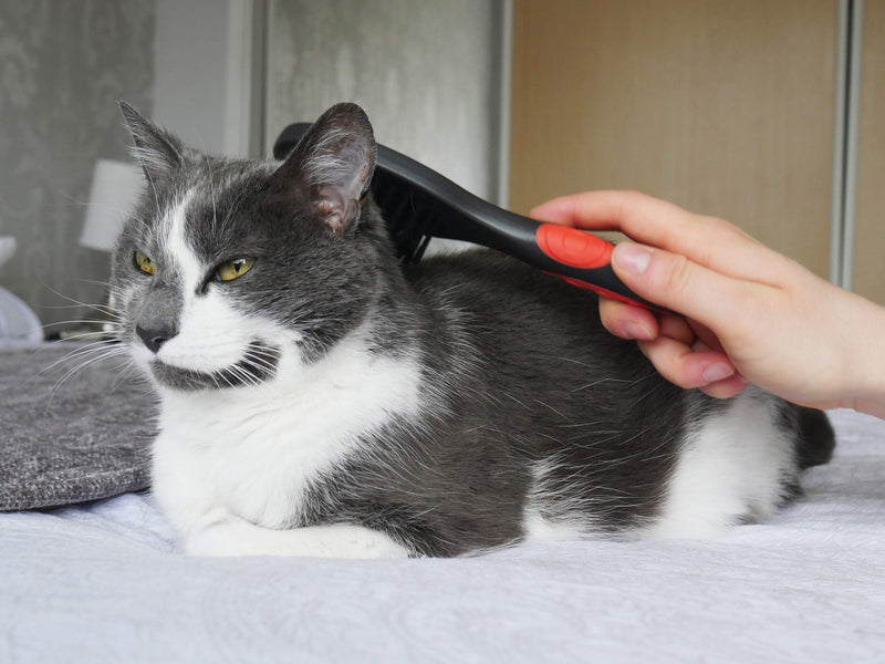 Rosewood Soft Protection Cat Brush One size Grey/Orange - PawsPlanet Australia