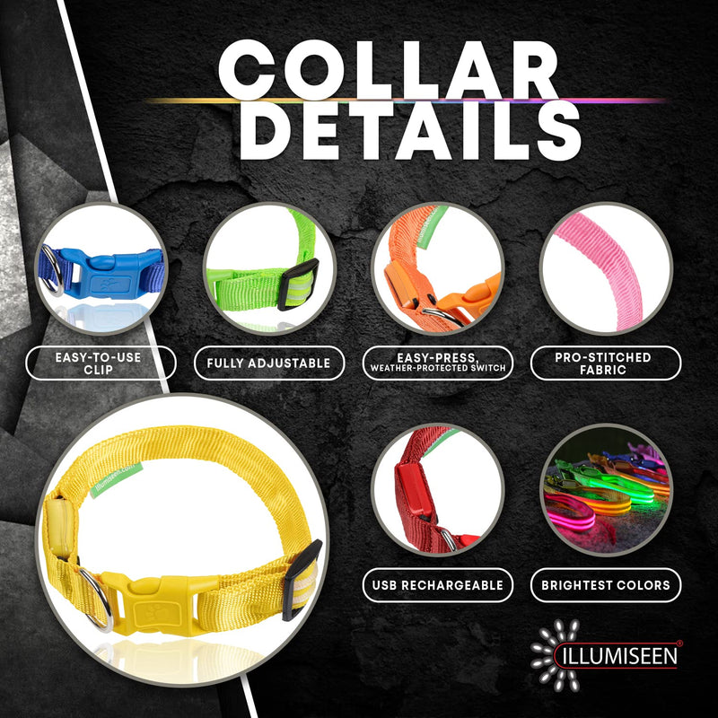 ILLUMISEEN LED Dog Collar - USB Rechargeable - Available in 6 Colours & 6 Sizes - Makes Your Dog Visible, Safe & Seen - Orange, X-Small (9  13.7 / 23  35cm) Bright Orange X-Small (9  13.7 / 23  35cm) - PawsPlanet Australia