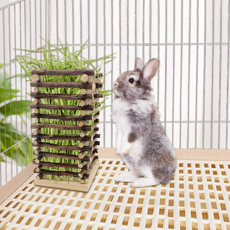 Fruitwood Rabbit Hay Rack Chinchilla Standing Grass Manager Chewing Toy Food Feeder Hanging Cage Accessories with Hook for Small Pet Guinea Pig Bunny Chinchilla - PawsPlanet Australia
