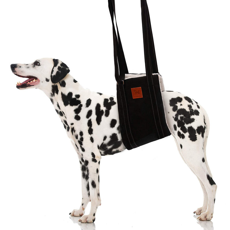 [Australia] - Pet Friendz Dog Lifting Harness for Rear Legs - Dog Sling for Back Legs, Rehabilitation Sling Harness, Dog Lift, Hip Support Harness to Help Lift Dogs Rear for Canine Aid Large 