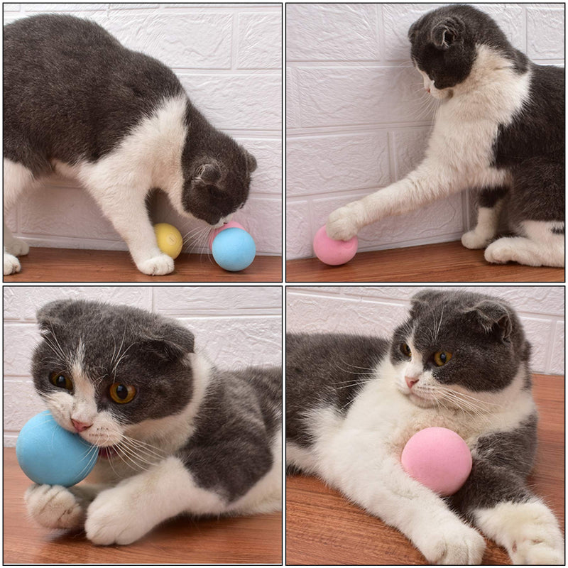 Cat Interactive Toys Squeaky Ball Catnip Toy for Indoor Cats 3 Colors/Set Cat Teasing Training and Playing Ball Pet Sound Toy Cat Dog Throw Toy - PawsPlanet Australia