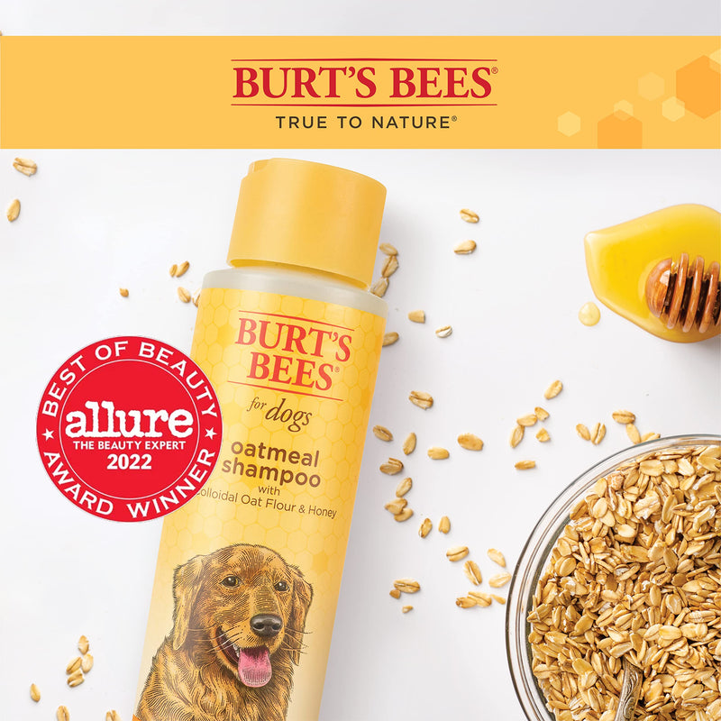 Burts Bees Oatmeal for Dogs with Colloidal Oatmeal and Honey, 473ml 1 Pack of Shampoo (473ml). - PawsPlanet Australia