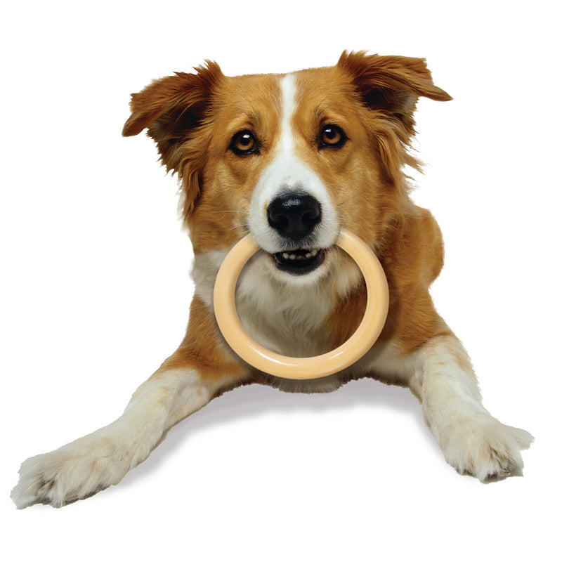 [Australia] - Nylabone Power Chew Extreme Chewing Giant Original Flavored Ring Bone Dog Chew Toy 