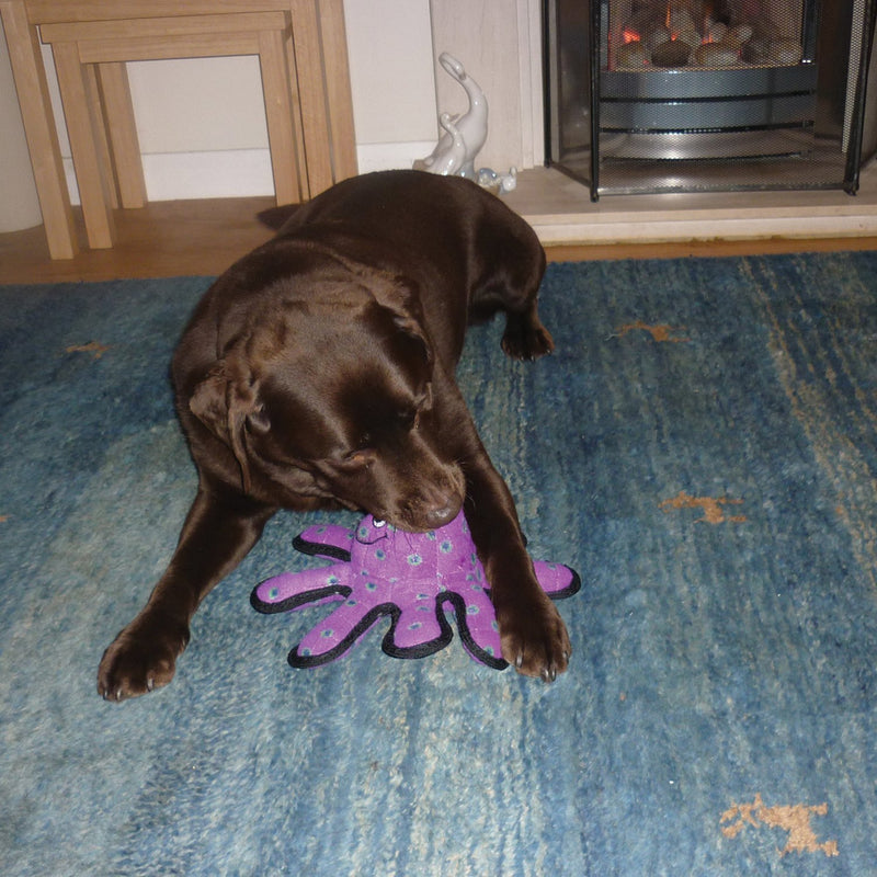 [Australia] - TUFFY - World's Tuffest Soft Dog Toy - Ocean Larry Lobster -Squeakers - Multiple Layers. Made Durable, Strong & Tough. Interactive Play (Tug, Toss & Fetch). Machine Washable & Floats. Regular 
