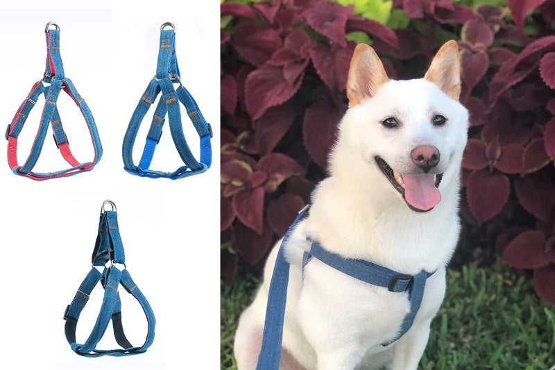 [Australia] - Bagoo Pets - Dog Harness & Dog Leash Collar for Small, Medium and Large Dogs - Adjustable & Durable Denim Dog Accessories - No Choke No Pull Gentle Dog Vest and Dog Collar - Perfect for Training Pet Black 