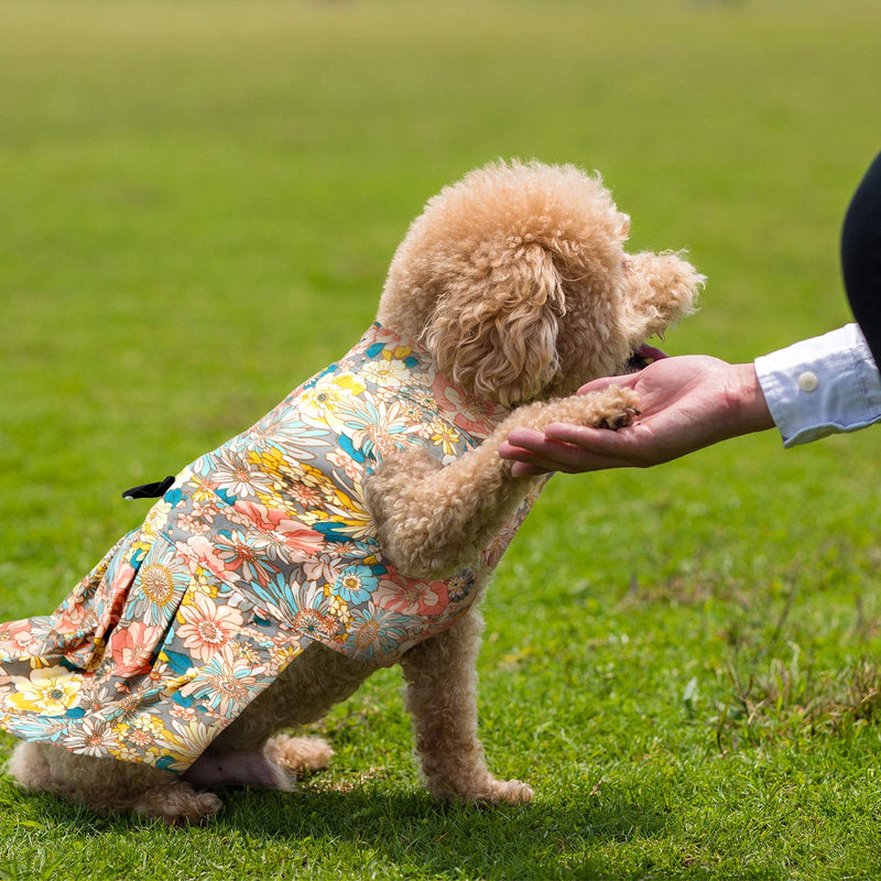 2 Pieces Cute Flower Girl Dog Dress Pet Clothes with Elegant Bowknot Pet Apparel for Puppy Dogs and Cats on Wedding Holiday Summer Party - PawsPlanet Australia