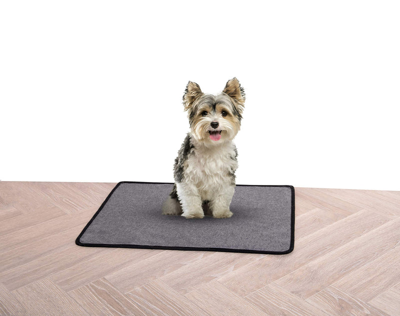 Tamu style Machine Washable Reusable Pee Pad (72"x72"/24"x18") Waterproof Dog Mats for Floor Protection,Crate Training, Super Absorbent Whelping Pads for Puppy and Housebreaking 24” x 18” - PawsPlanet Australia