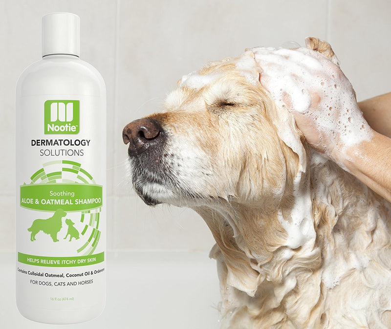 [Australia] - Nootie ❶ Dog Shampoo with Soothing Aloe Best for All Pets Including Dogs, Cats, and Horses - 100% All Natural Deodorizing Soap Free Formula Provides Itchy Skin Relief - 16 Oz. 