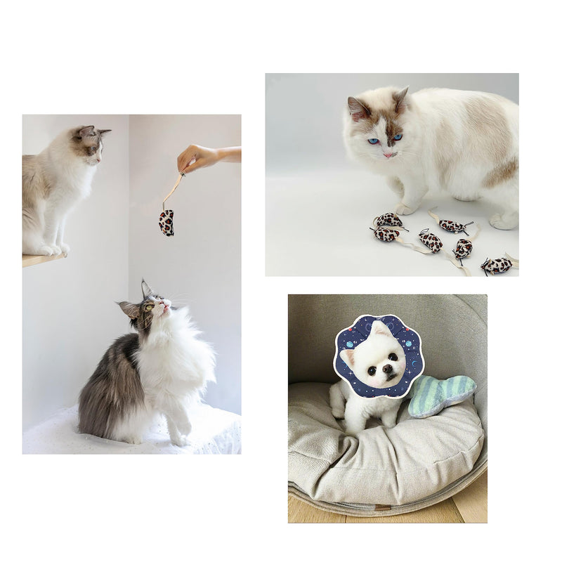 1 pet collar, 2 cat teasing toys, cat bite protection, suitable for postoperative recovery of dogs and cats - PawsPlanet Australia