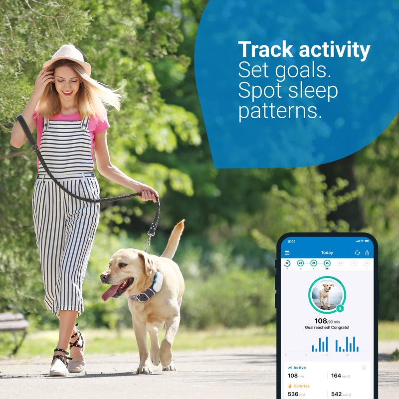 Tractive GPS DOG 4. Dog Tracker. Always know where your dog is. Keep them fit with Activity Monitoring. Unlimited range. (Snow) - PawsPlanet Australia