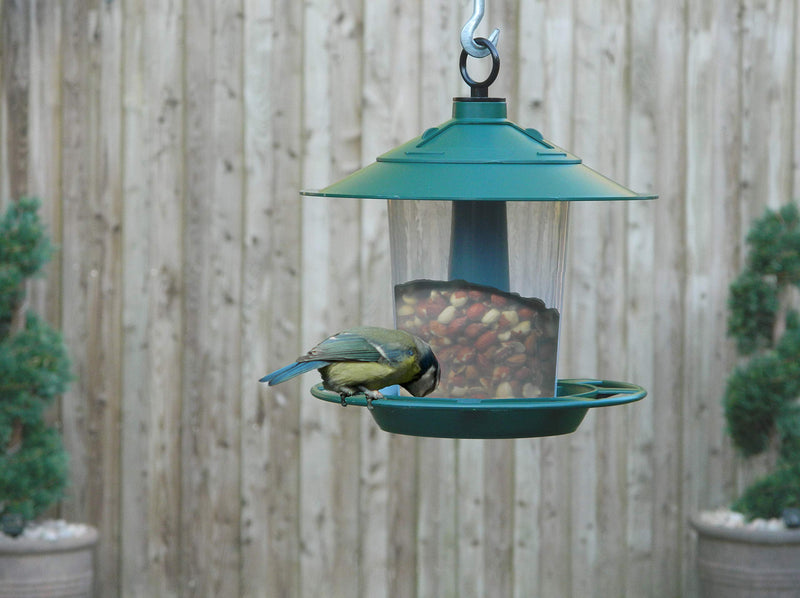 Hanging Lantern Bird Seed & Nut Feeder Green - PawsPlanet Australia