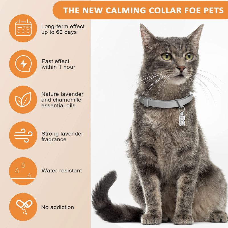 5 Set Cat Collar Adjustable Waterproof Cat Collars Reduce itching Cat Collars with 5 Pet ID Pendants Grey - PawsPlanet Australia