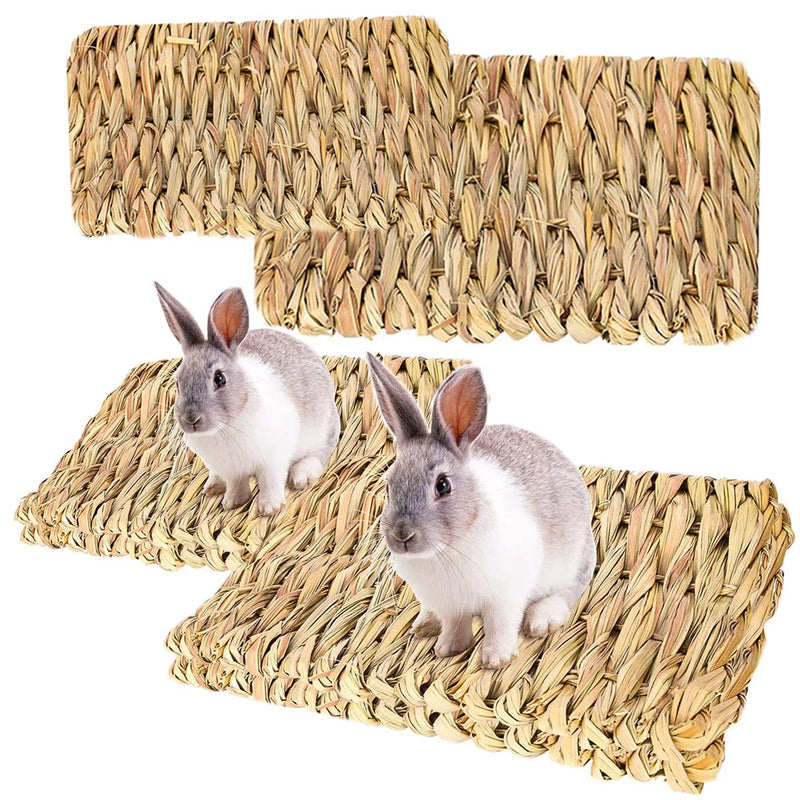 RoadLoo Small Pet Grass Mat, Pack of 4 Natural Grass Mats Small Animal Safe Edible Grass Mat Grass Toy Woven Animal Chew Toy for Rabbit Rat Parrot Guinea Pig Ferret - PawsPlanet Australia