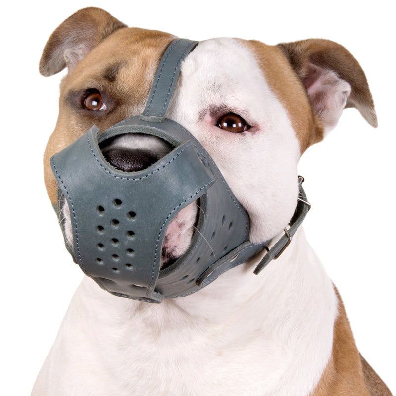 [Australia] - CollarDirect Dog Muzzle Pitbull Amstaff Basket Genuine Leather Staffordshire Terrier Pink 