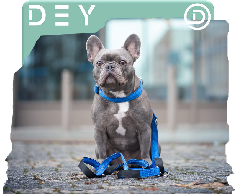 DEY - Premium dog leash air mesh, 2 m, 3-way adjustable, for small, medium and large dogs, many colors, double leash dog cat puppy, towing leash, lead leash, puppy leash, red, S [S/M] - 2.0 x 200cm - PawsPlanet Australia