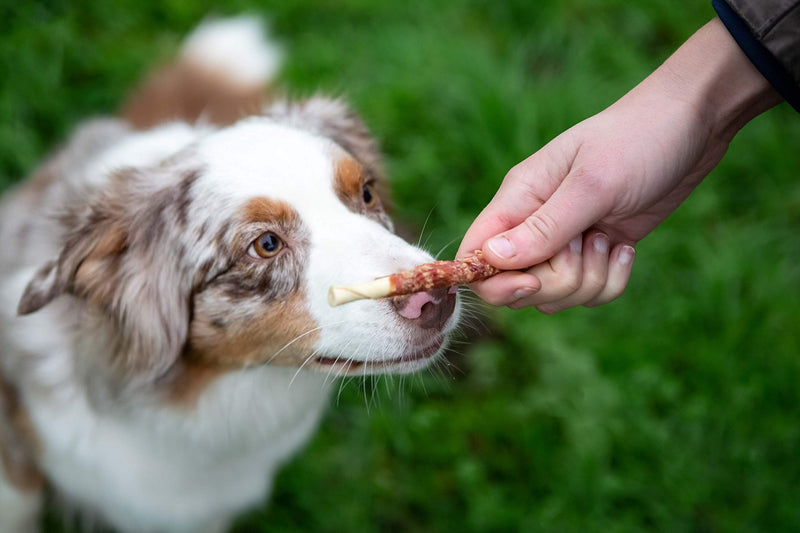 Pets Unlimited Chewy Sticks with Beef, 8pc transparent - PawsPlanet Australia