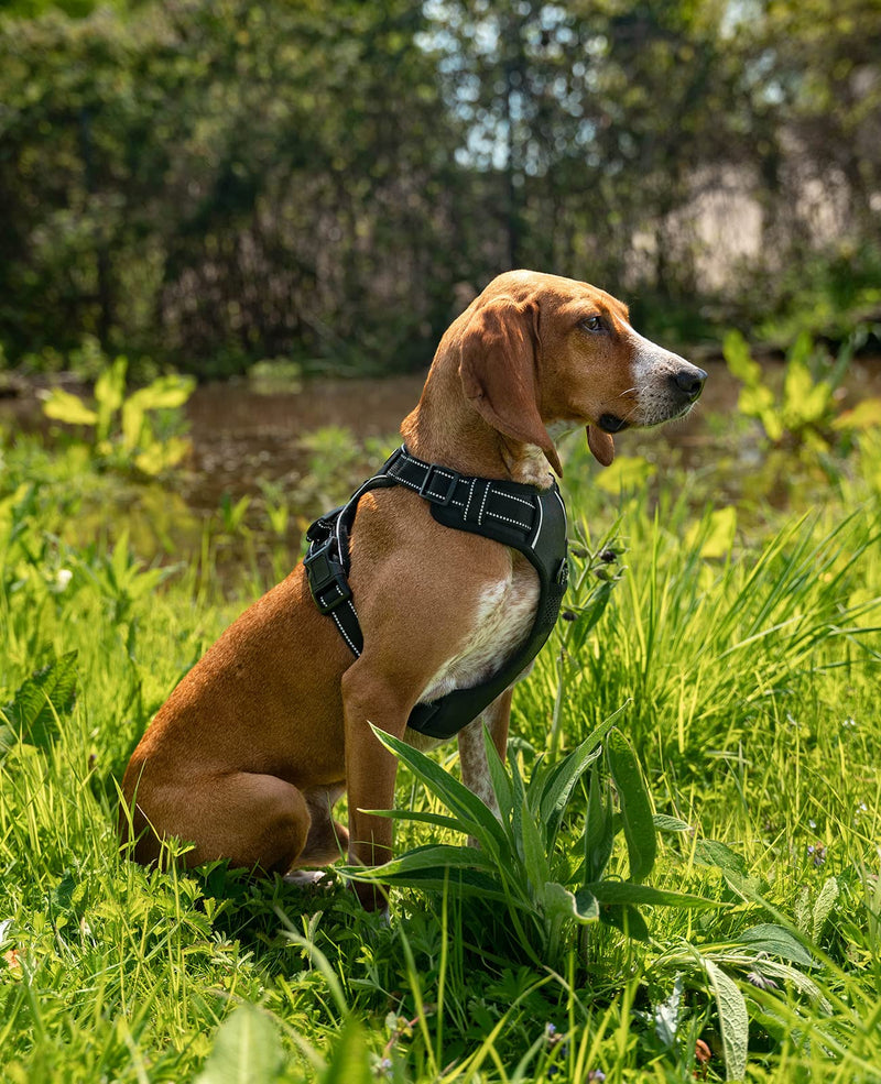 lionto dog harness padded anti-pull harness reflective safety harness adjustable, size S, black - PawsPlanet Australia