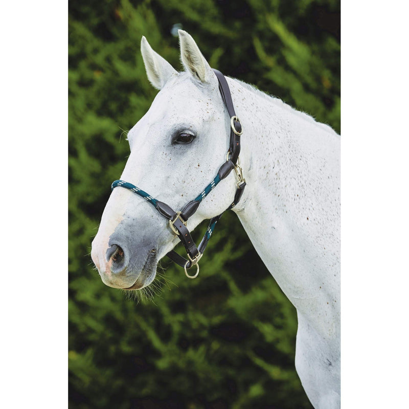Kincade Leather Rope Headcollar - Hunter Green/Brown 2m - PawsPlanet Australia