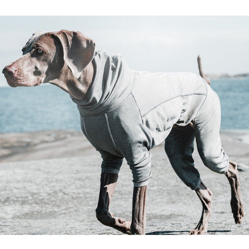 [Australia] - Hurtta Body Warmer Dog Bodysuit, Carbon Grey 20M 