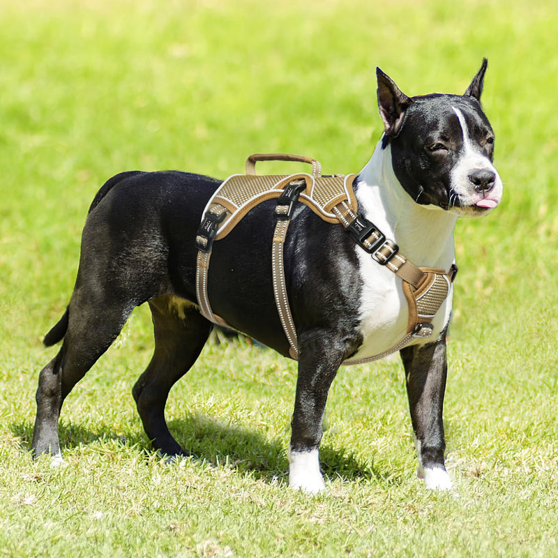 HEELE dog harness, escape-proof, buckle in the neck area, reflective, chest harness with robust handle, panic harness for dogs, dog harness with a stable impression, fits like a glove, brown, M - PawsPlanet Australia