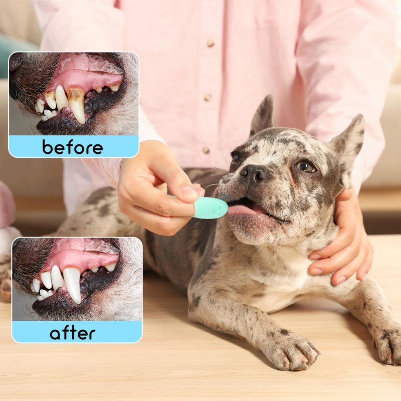 Silicone Toothbrush for Pets Pack of 6 Dog Toothbrush Reusable Pet Finger Toothbrush Long Handle Cat Dog Toothbrush for Small Dogs Cats Dental Care 10x2.5cm - PawsPlanet Australia