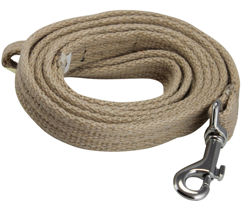 [Australia] - Dog Leash 4.5ft Long Cotton Web for Training, Beige 4 Sizes Small: 5/8" Wide 